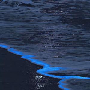 入戏太深1650093270572_20220416_151541