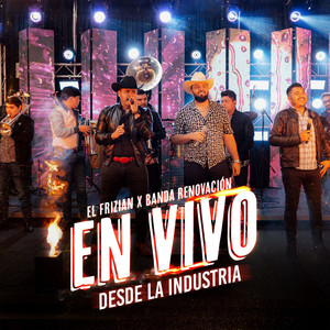 Volveré A Amar (Live)