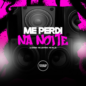 Me Perdi Na Noite