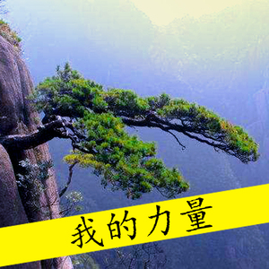 我的力量