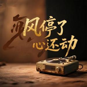 风停了心还动