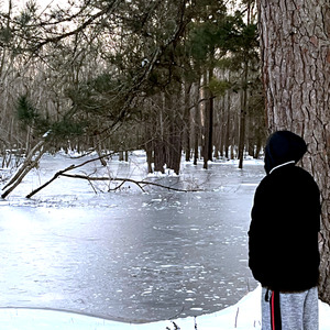 seventh movement (frozen land)