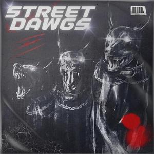 STREET DAWGS (feat. Nitin aka blaze & Sechi)