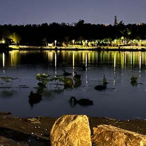 零几年听的情歌（翻自章 沫）（翻自 章沫）