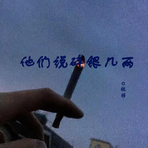 他们说碎银几两