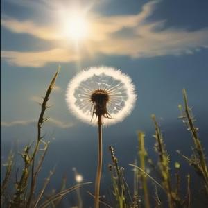 我们的故事长而继续