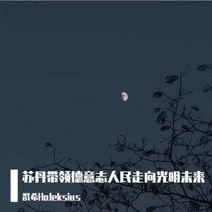 苏丹带领德意志走向光明未来完整版