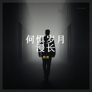 何惧岁月漫长