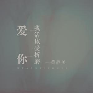 爱你我活该受折磨 (DJ.House版)