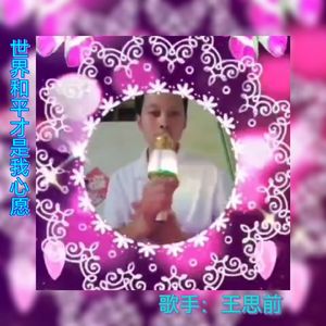 世界和平才是我心愿