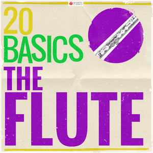 Flute Concerto No. 3 in D Major, RV 428 "Il Gardellino": I. Allegro