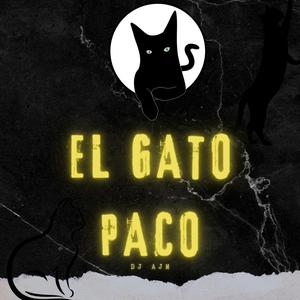 El Gato Paco