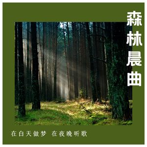 琉璃时光 (吉他)