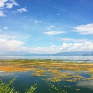 开心快乐的瞬间