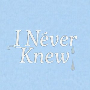 I Never Knew