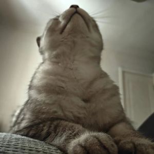 你也不想这样吧