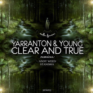 Clear and True (Andy Weed Remix)