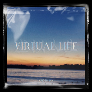 Virtual Life 虚拟人生