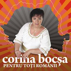 Cine-o facut horile (feat. Alin Bocsa)