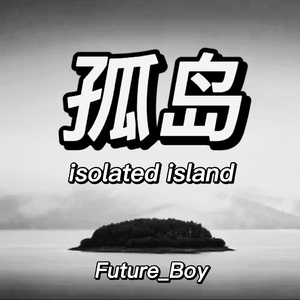 孤岛（isolated island）