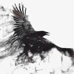 乌鸦22 (Prod. by Cold Melody)