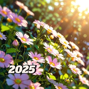 아이고 내팔자야