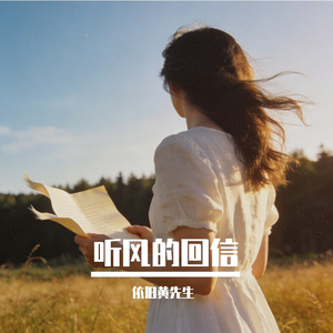 听风的回信