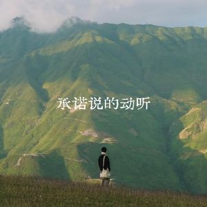 承诺说的动听