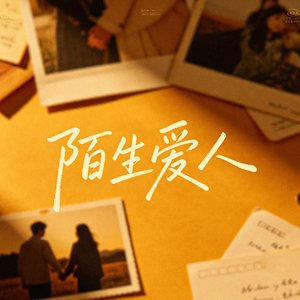 陌生爱人