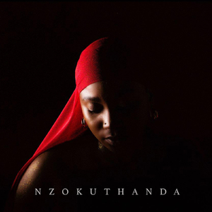 Nzokuthanda (feat. DJ Zonke)