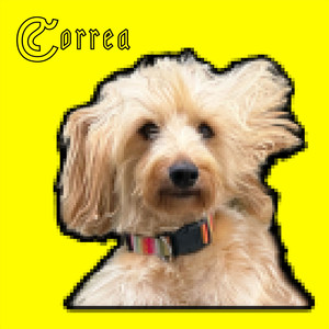 Correa