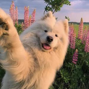 you know what i mean(BEAT)