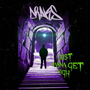 I Just Wanna Get High