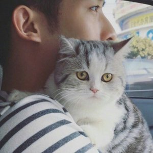 电梯停在楼层之间