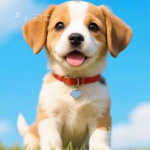 不爱的人总是无所谓