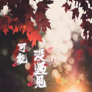可能没遇见