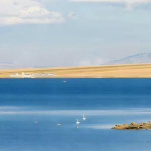 生活不止眼前的苟且