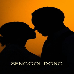 Senggol Dong