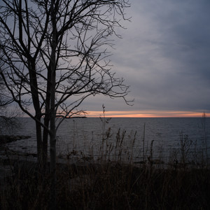 விடியல் (Demo)