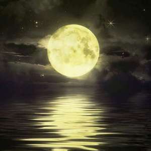 爱的就是你（Cover 王力宏）