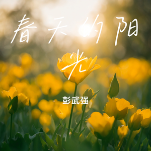 春天的阳光