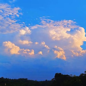 风雨中的希望情