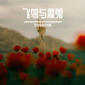 飞鸟与魔鬼