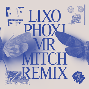 Phoxi (Mr Mitch Remix)