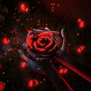 Мёртвые розы