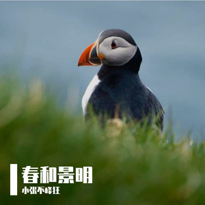 慢慢时光里的漫漫旅程