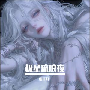 极星流浪夜