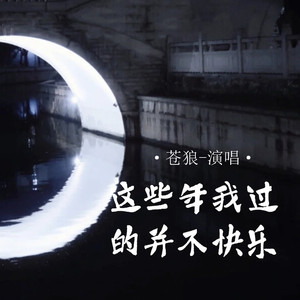 这些年我过的并不快乐