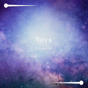 Nova