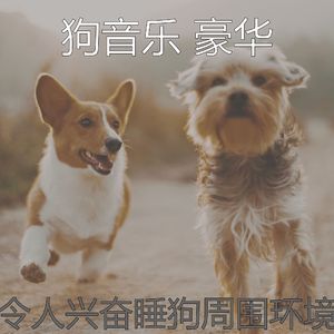 微妙的睡狗心情
